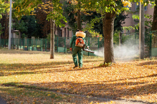 Best Rat Extermination Near Me  in Sylacauga, AL